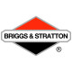 Двигатели Briggs-Stratton в Казани