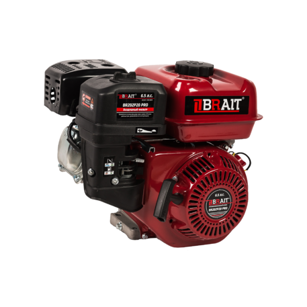 Двигатель 6,5 л.c. d=20мм. Brait BR202P20PRO в Казани